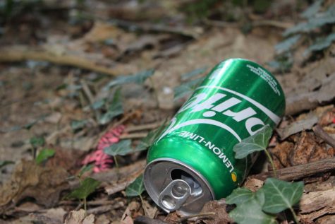 An empty Sprite can resides amongst the new plant growth.