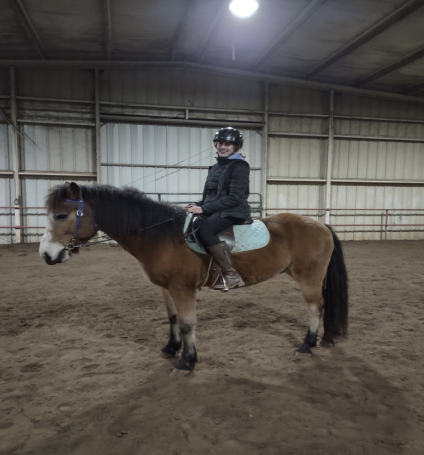 Charley+is+being+ridden+by+Hadley+Leftin+in+the+correct+posture.