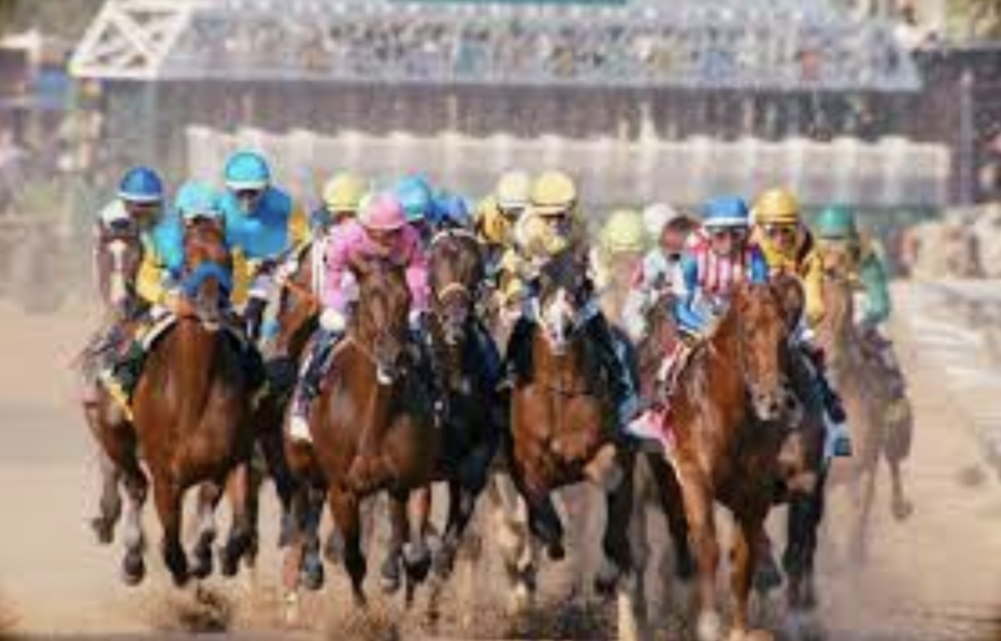 The horses take off to begin the Derby. 