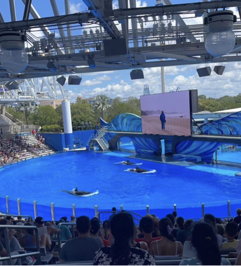 The Orcas “entertained” the crowd in July 2022.