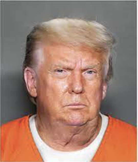 Donald+Trumps+mugshot.