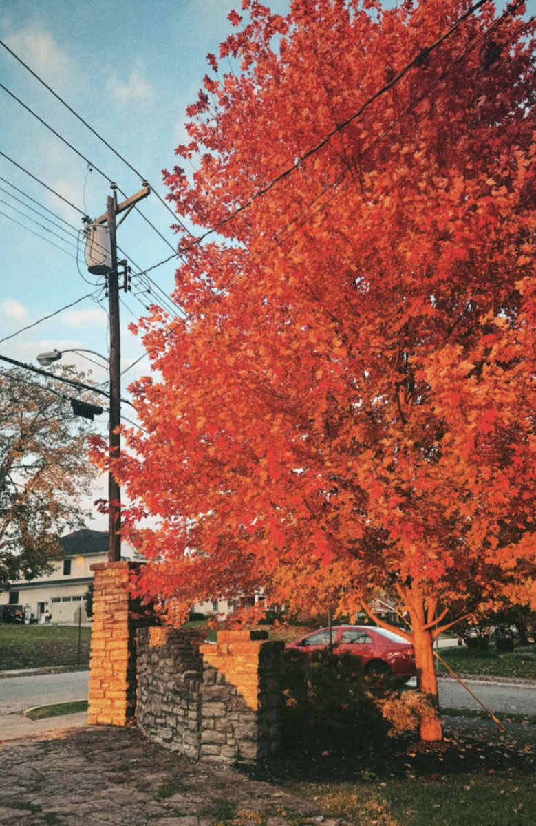 The leaves on the trees of Fort Thomas gradually begin to change colors and drift to the ground beneath them.