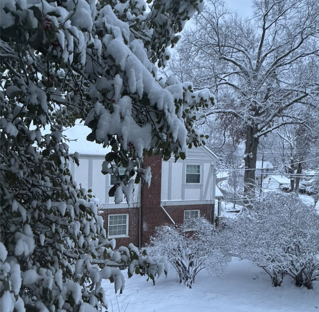 Snow falls outside Ellie Thornton’s (9) window on the first snow day.