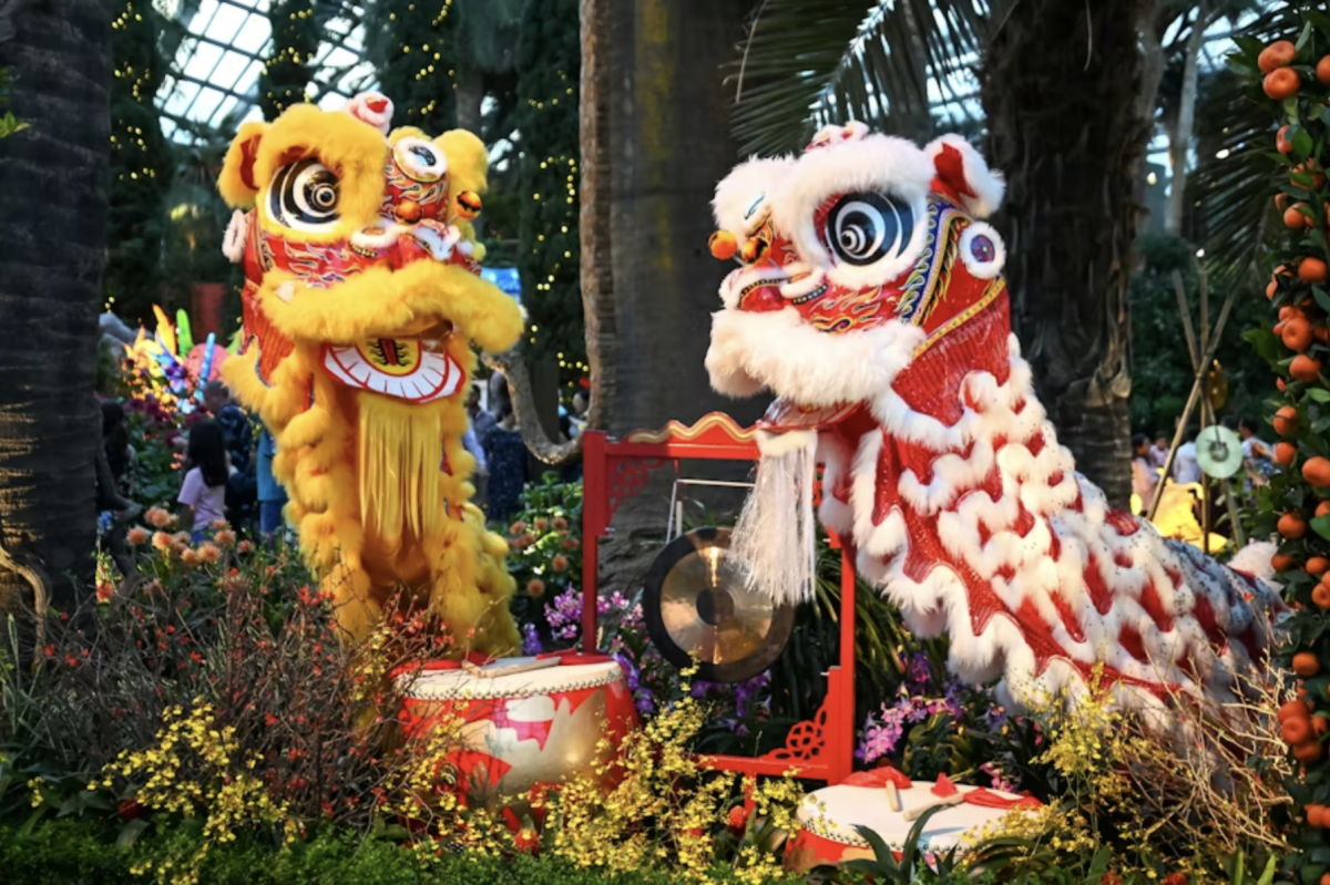 A celebration to bring good luck and prosperity through a lion dance (Courtesy of Scribbling Geek, Via Unsplash).
