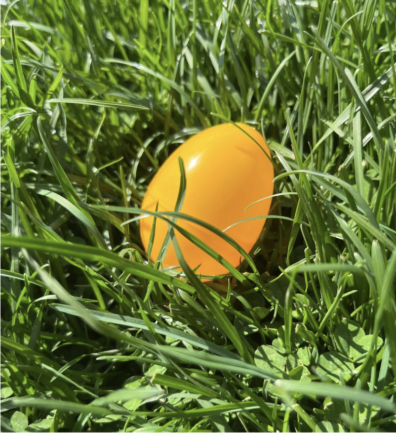 An Easter egg is resting in the grass to symbolize the popular tradition of an easter egg hunt.